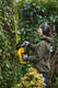 Кусторез аккумуляторный STANLEY FATMAX SFMCHT855M1